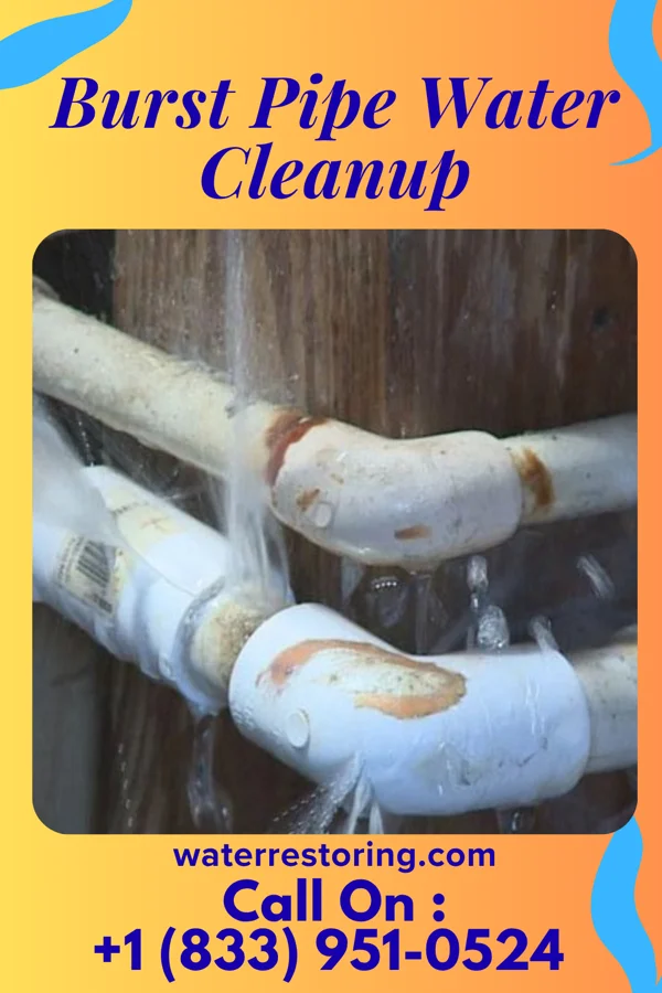Burst Pipe Water Cleanup in Kuttawa, KY
